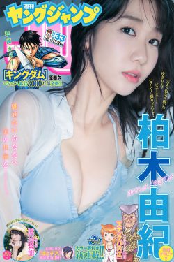 新点软件